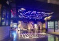 厨房川菜学徒招聘文案（探索川味之旅：厨房川菜助理招募启事）