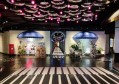 迪尼斯酒店技师招聘条件（迪尼斯酒店招聘客房服务及技术支持人员要求）