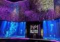 黔西招聘幽默文案（黔西招募：创意笑匠，携手点亮职场幽默火花）